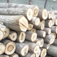 直销大量优质杨木原木，长1米以上，直径10厘米以上！