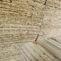 公司专供松木，桦木地板芯，生态板芯，可以定制厚度！