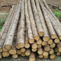 本人有3000棵左右40年树龄的杉木原木出售，总长度20米左右，直径25厘米-35厘米左右！