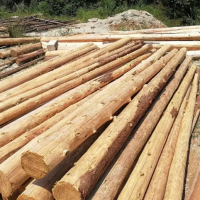 本人有杉木/杂木原木上万方，规格可按客户要求加工，木材可用于做家具！