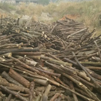 长年大量销售各种杂木料烧火柴，木材基本上都是全干的，长春地区可送货！