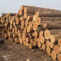 本人目前有一批东北落叶松原木出售，长度4米左右，直径10厘米以上，材质较好！
