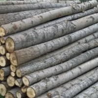 长期大量出售杨木/松木原木统货，可用于旋切，加工，民用和矿用，规格按要求切割！
