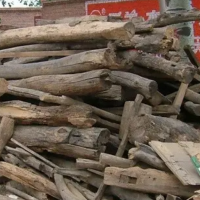 大量出售废旧木材，各种各样的都有，木材无腐烂，辽宁地区可送货！