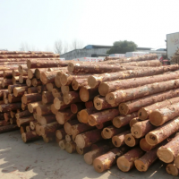 我厂大量出售优质的落叶松原木，长度有4米，5米，6米，直径在18厘米-20厘米左右！