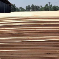 本厂大量出售杨木板皮，规格1.27米*0.64米，厚度为1.1毫米-1.7毫米左右！