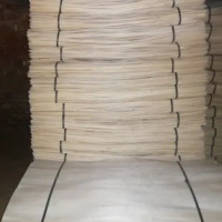 长年生产优质杨木单板，长宽1.27米*0.64米，厚度为1.6毫米，板面平整，厚度均匀！