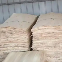 大量出售各种厚度杨木板皮，长宽1.3米*0.5米，1.3米*0.64米，厚度1.2-3.0毫米不等！