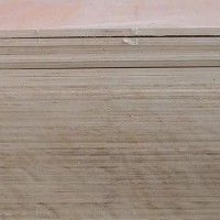 出售杨木阻燃板，规格1.22*2.44米，厚度9-18厘，板面平整，无凹凸，出厂价60-120元一张！