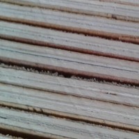 大量销售杨木多层板，规格2.44*1.22米，厚度为10厘-18厘，板面平整，用料上乘！