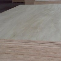 我厂大量出售杨木，桉木多层板，1.22*2.44米，厚5厘至18厘，价格详谈！