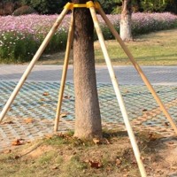 长期销售杨木绿化支撑杆，长度2.6米，直径3.5厘米，出售1.9元一根，不含运费！