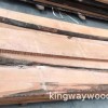 进口板材榉木料批发