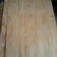 本厂出售桉木，松木单板，需要的联系