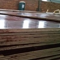 销售桉木模板，厚度1.0-1.8厘米