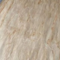 长期供应松木单板，规格97*50厘米