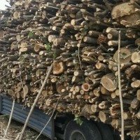 供应杂木，桉木枝丫材，长度2米起