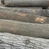 出售新疆杨木，长度2.2-2.6米