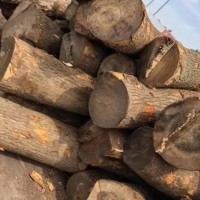 常年供应寿材原木，需要的联系