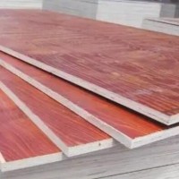 出售桉木，松木模板，厚1.25-1.6厘米