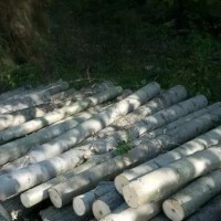 供应杉木，杂木原木，按要求砍伐