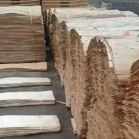 长期供应优质桉木单板，127*63厘米