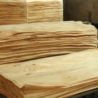 常年销售松木单板，规格97*50厘米等