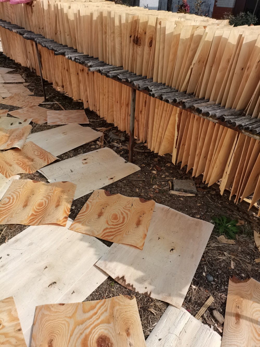 长期供应杨木松木板皮