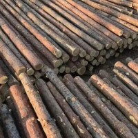 常年出售落叶松木杆，2米，3米，4米，5米，6米