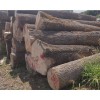 金威木业欧洲白蜡原木实木进口蜡木家居批发