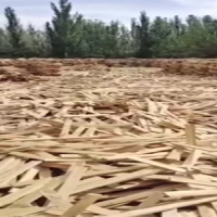 新疆伊犁大量出售杨木板条