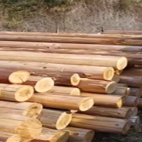 湖南怀化大量出售香杉木，长5-8米直径10公分以上起