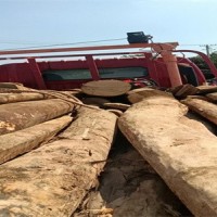 河北邯郸大量出售下房木，长短不限  直径12公分起