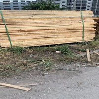 浙江温州大量供应松木板材