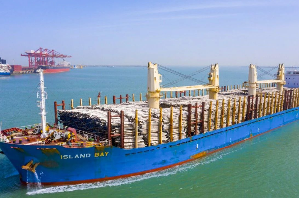 2022年木材行业的4大问题之一：海运集装箱费率