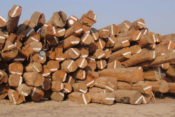 2022年木材行业的4大问题之三：市场需求下滑